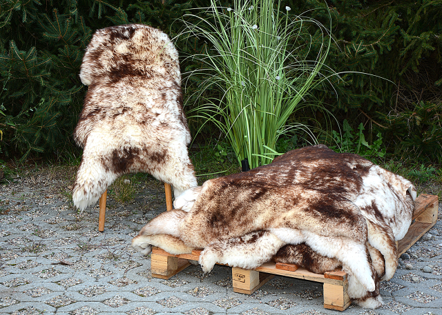 Öko Mufflon Lammfell Unikat (95x65cm) – Robustes Kurzhaar für Deko & Haustiere